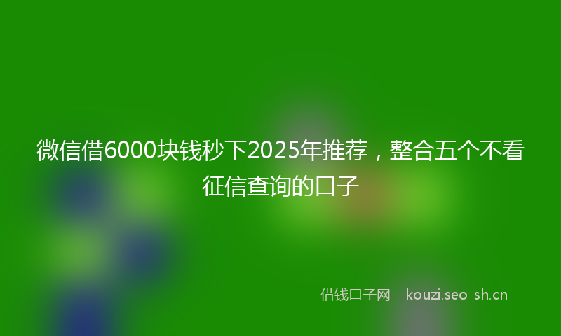 微信借6000块钱秒下2025年推荐，整合五个不看征信查询的口子