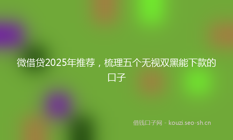 微借贷2025年推荐，梳理五个无视双黑能下款的口子