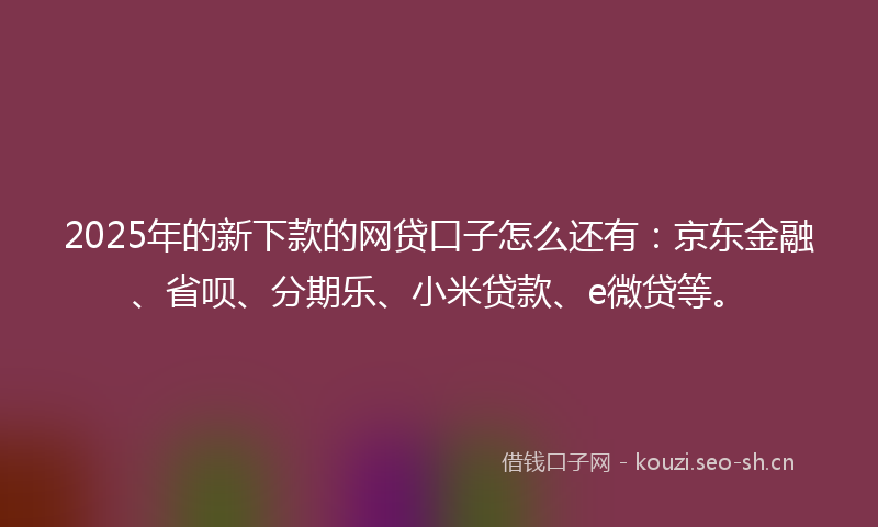 2025年的新下款的网贷口子怎么还有：京东金融、省呗、分期乐、小米贷款、e微贷等。