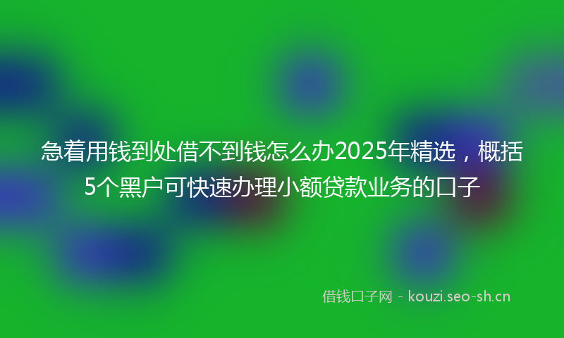 急着用钱到处借不到钱怎么办2025年精选，概括5个黑户可快速办理小额贷款业务的口子