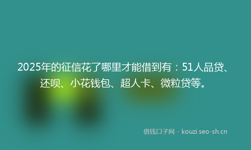 2025年的征信花了哪里才能借到有：51人品贷、还呗、小花钱包、超人卡、微粒贷等。