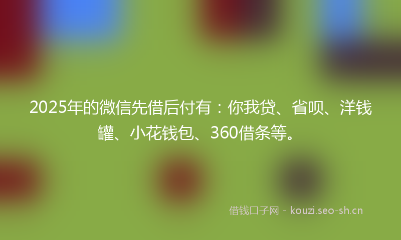 2025年的微信先借后付有:你我贷、省呗、洋钱罐、小花钱包、360借条等。