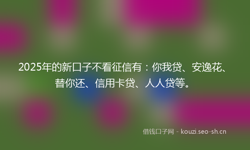 2025年的新口子不看征信有：你我贷、安逸花、替你还、信用卡贷、人人贷等。