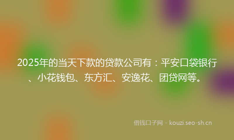 2025年的当天下款的贷款公司有：平安口袋银行、小花钱包、东方汇、安逸花、团贷网等。