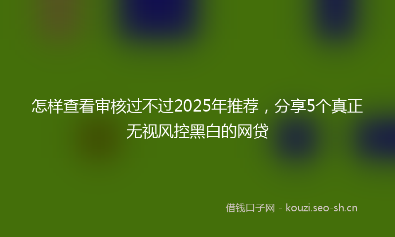 怎样查看审核过不过2025年推荐，分享5个真正无视风控黑白的网贷