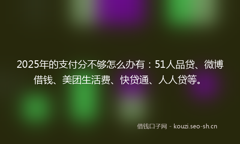 2025年的支付分不够怎么办有：51人品贷、微博借钱、美团生活费、快贷通、人人贷等。