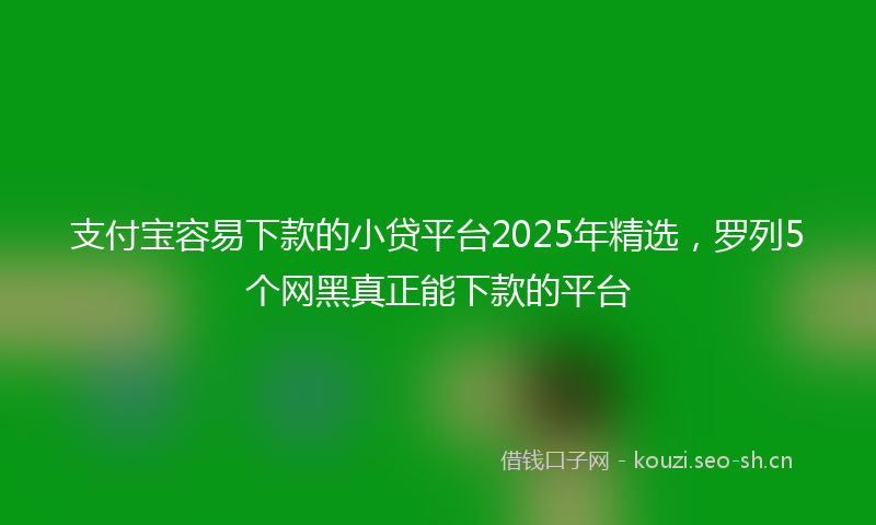 支付宝容易下款的小贷平台2025年精选，罗列5个网黑真正能下款的平台