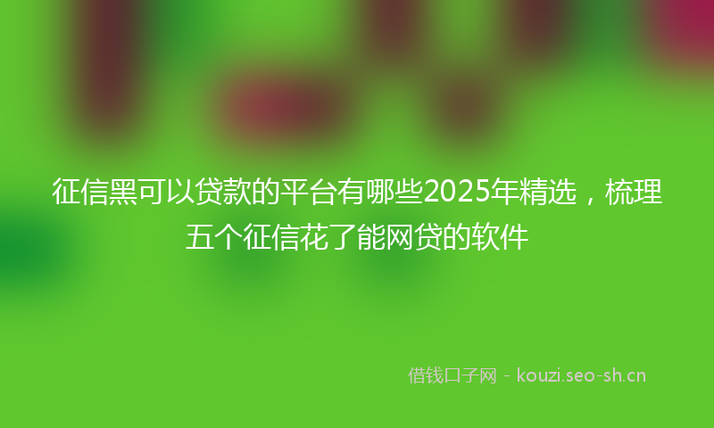 征信黑可以贷款的平台有哪些2025年精选，梳理五个征信花了能网贷的软件