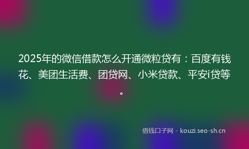 2025年的微信借款怎么开通微粒贷有：百度有钱花、美团生活费、团贷网、小米贷款、平安i贷等。