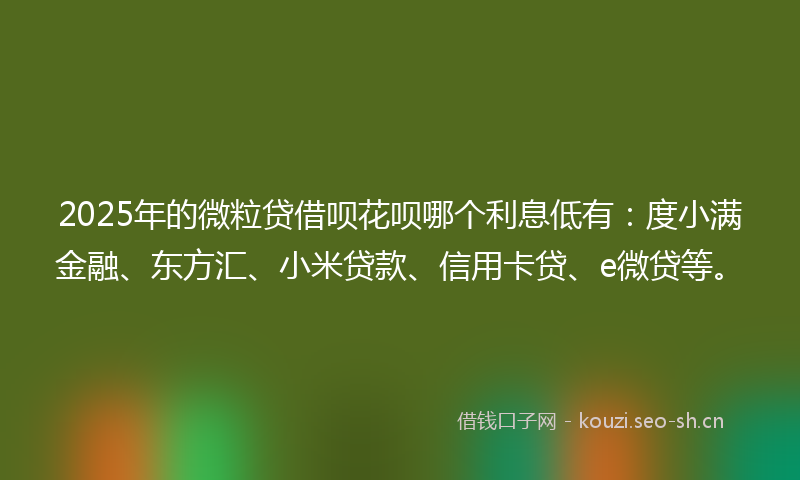 2025年的微粒贷借呗花呗哪个利息低有：度小满金融、东方汇、小米贷款、信用卡贷、e微贷等。