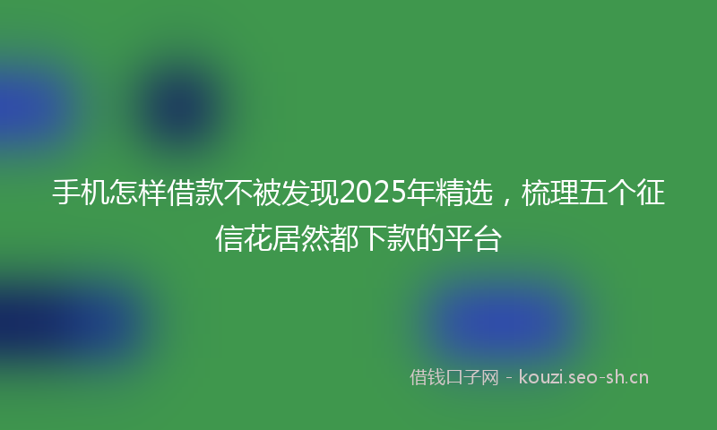 手机怎样借款不被发现2025年精选，梳理五个征信花居然都下款的平台