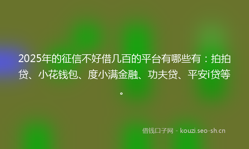 2025年的征信不好借几百的平台有哪些有：拍拍贷、小花钱包、度小满金融、功夫贷、平安i贷等。