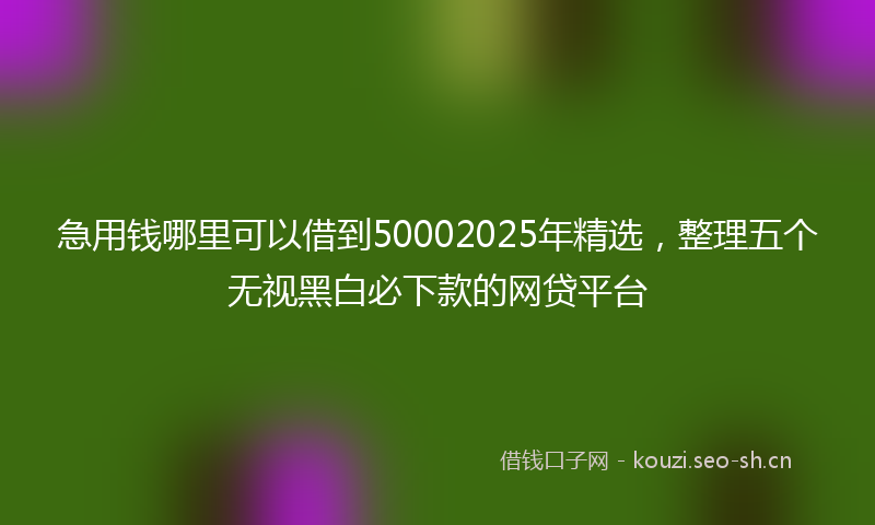 急用钱哪里可以借到50002025年精选,整理五个无视黑白必下款的网贷平台