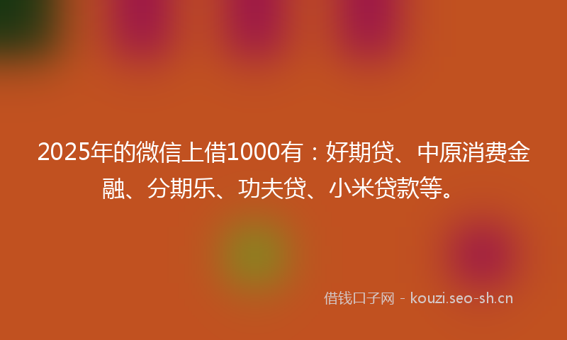 2025年的微信上借1000有:好期贷、中原消费金融、分期乐、功夫贷、小米贷款等。
