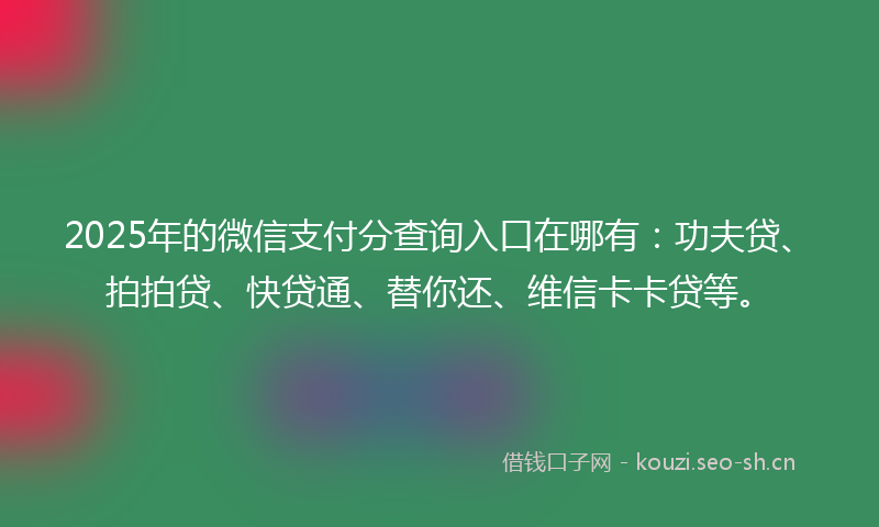 2025年的微信支付分查询入口在哪有：功夫贷、拍拍贷、快贷通、替你还、维信卡卡贷等。