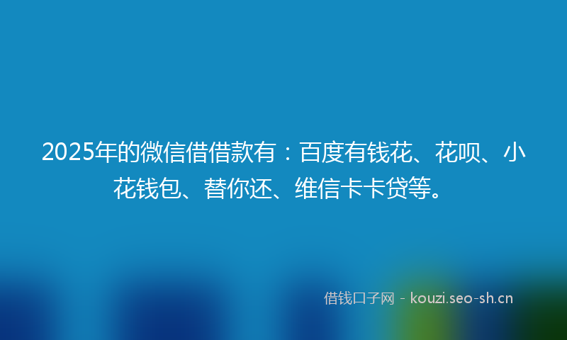 2025年的微信借借款有：百度有钱花、花呗、小花钱包、替你还、维信卡卡贷等。