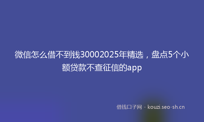 微信怎么借不到钱30002025年精选，盘点5个小额贷款不查征信的app