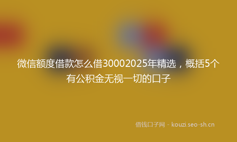 微信额度借款怎么借30002025年精选，概括5个有公积金无视一切的口子