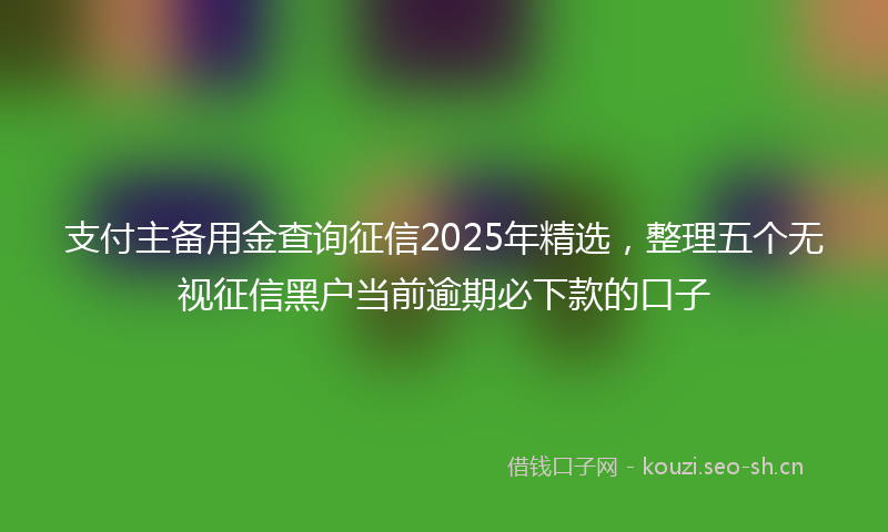 支付主备用金查询征信2025年精选，整理五个无视征信黑户当前逾期必下款的口子