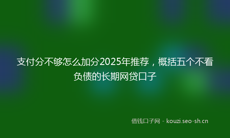 支付分不够怎么加分2025年推荐，概括五个不看负债的长期网贷口子