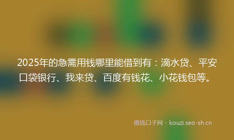 2025年的急需用钱哪里能借到有：滴水贷、平安口袋银行、我来贷、百度有钱花、小花钱包等。