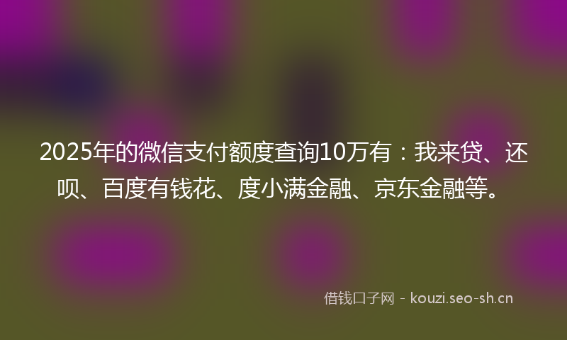 2025年的微信支付额度查询10万有：我来贷、还呗、百度有钱花、度小满金融、京东金融等。