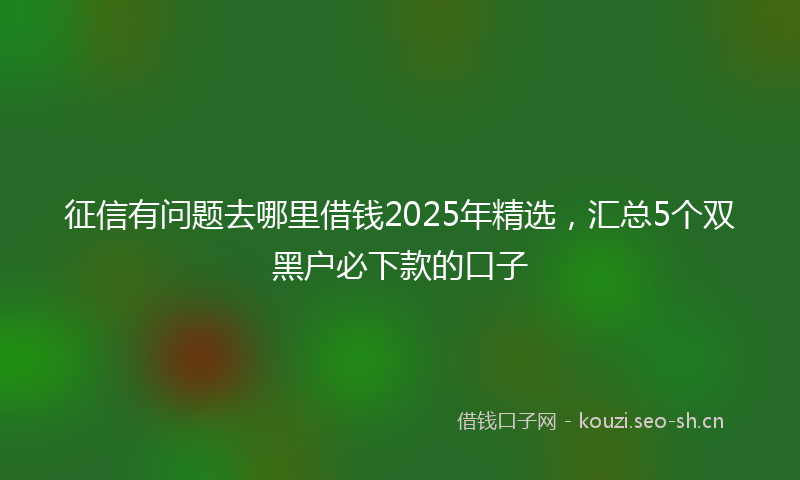 征信有问题去哪里借钱2025年精选，汇总5个双黑户必下款的口子
