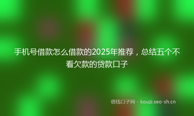 手机号借款怎么借款的2025年推荐,总结五个不看欠款的贷款口子