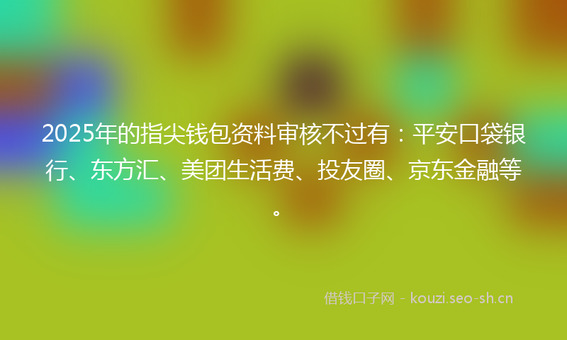2025年的指尖钱包资料审核不过有：平安口袋银行、东方汇、美团生活费、投友圈、京东金融等。