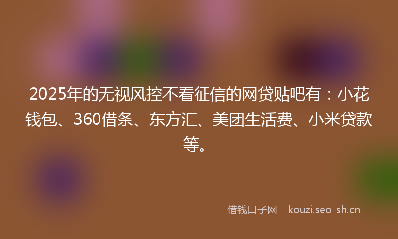 2025年的无视风控不看征信的网贷贴吧有：小花钱包、360借条、东方汇、美团生活费、小米贷款等。