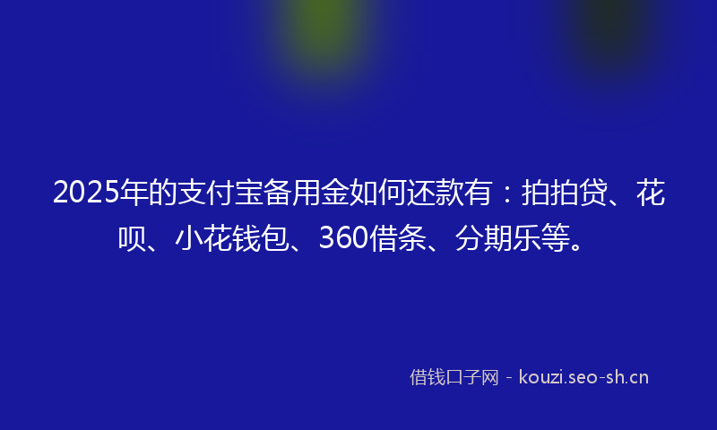 2025年的支付宝备用金如何还款有：拍拍贷、花呗、小花钱包、360借条、分期乐等。