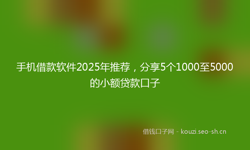 手机借款软件2025年推荐,分享5个1000至5000的小额贷款口子