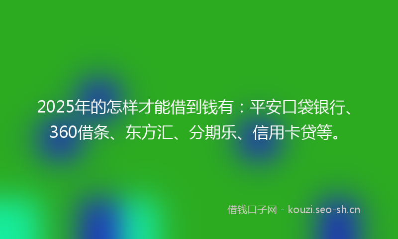 2025年的怎样才能借到钱有：平安口袋银行、360借条、东方汇、分期乐、信用卡贷等。