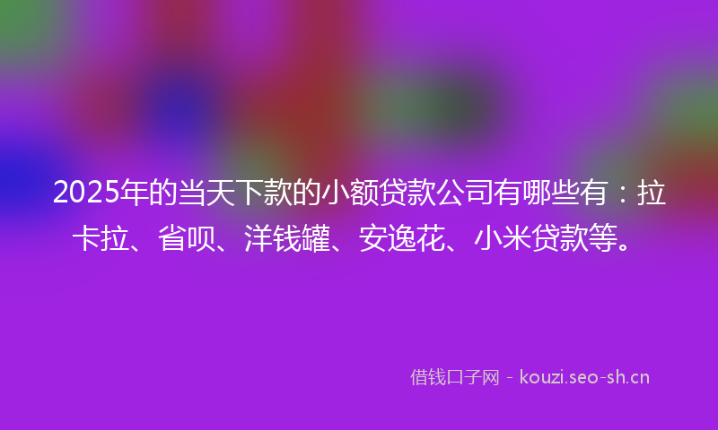2025年的当天下款的小额贷款公司有哪些有：拉卡拉、省呗、洋钱罐、安逸花、小米贷款等。