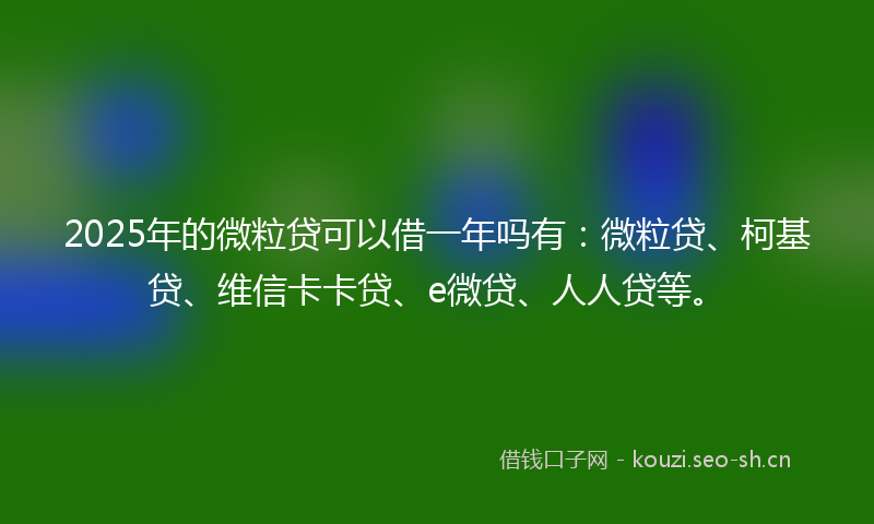 2025年的微粒贷可以借一年吗有：微粒贷、柯基贷、维信卡卡贷、e微贷、人人贷等。