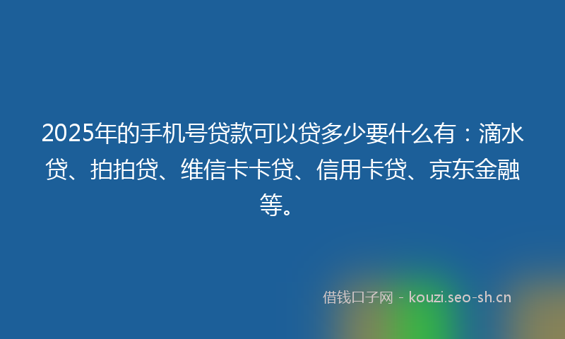 2025年的手机号贷款可以贷多少要什么有：滴水贷、拍拍贷、维信卡卡贷、信用卡贷、京东金融等。