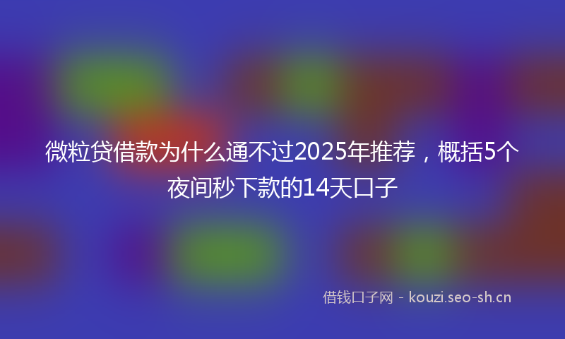 微粒贷借款为什么通不过2025年推荐，概括5个夜间秒下款的14天口子