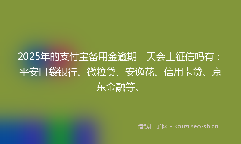 2025年的支付宝备用金逾期一天会上征信吗有:平安口袋银行、微粒贷、安逸花、信用卡贷、京东金融等。