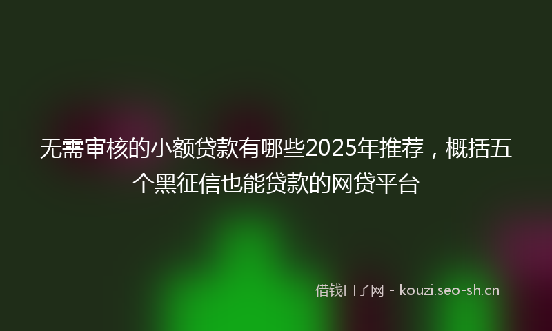 无需审核的小额贷款有哪些2025年推荐，概括五个黑征信也能贷款的网贷平台