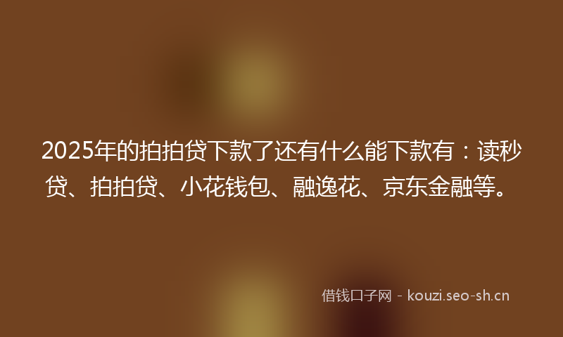 2025年的拍拍贷下款了还有什么能下款有：读秒贷、拍拍贷、小花钱包、融逸花、京东金融等。