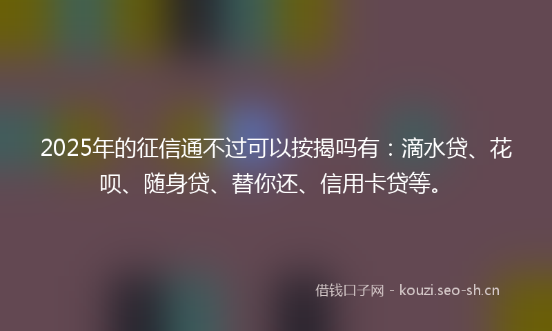 2025年的征信通不过可以按揭吗有：滴水贷、花呗、随身贷、替你还、信用卡贷等。