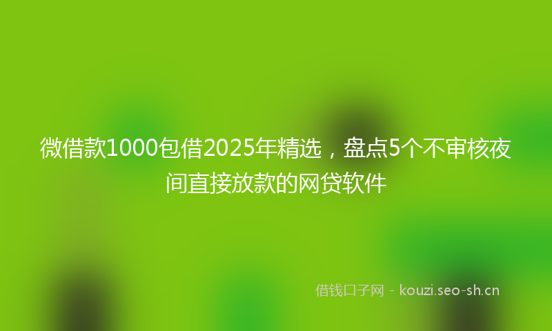 微借款1000包借2025年精选，盘点5个不审核夜间直接放款的网贷软件