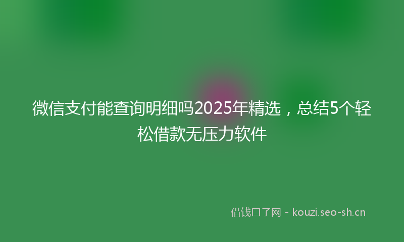 微信支付能查询明细吗2025年精选，总结5个轻松借款无压力软件