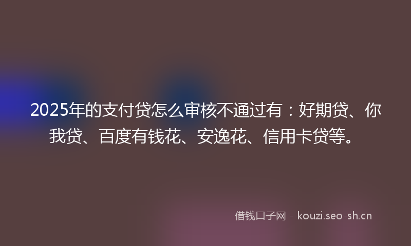 2025年的支付贷怎么审核不通过有：好期贷、你我贷、百度有钱花、安逸花、信用卡贷等。