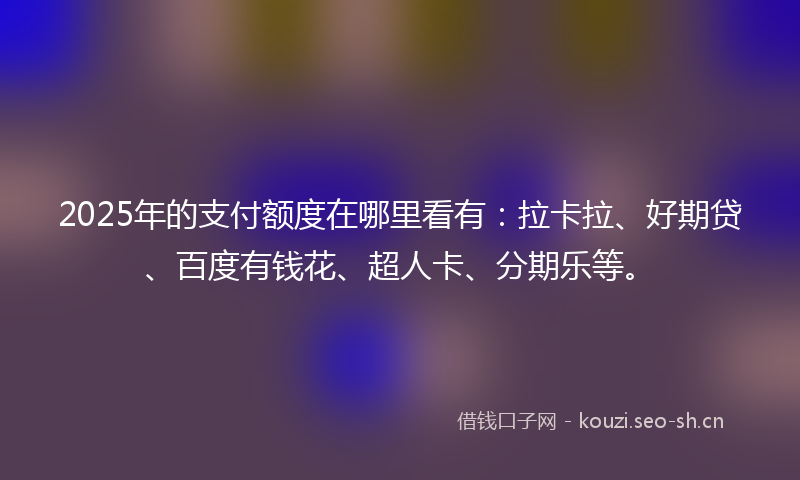 2025年的支付额度在哪里看有：拉卡拉、好期贷、百度有钱花、超人卡、分期乐等。