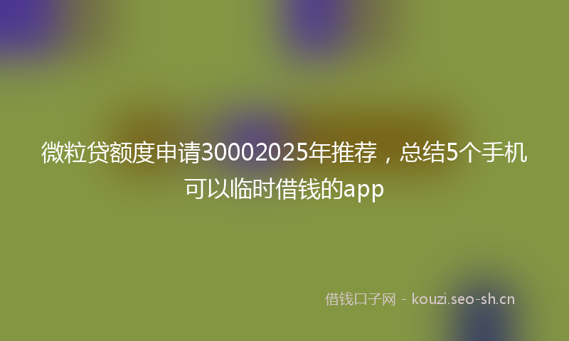 微粒贷额度申请30002025年推荐，总结5个手机可以临时借钱的app