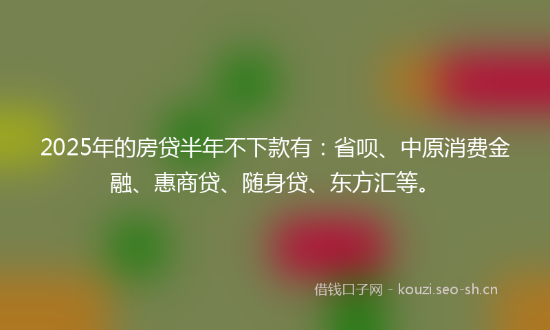 2025年的房贷半年不下款有：省呗、中原消费金融、惠商贷、随身贷、东方汇等。