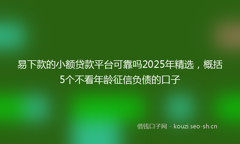 易下款的小额贷款平台可靠吗2025年精选，概括5个不看年龄征信负债的口子