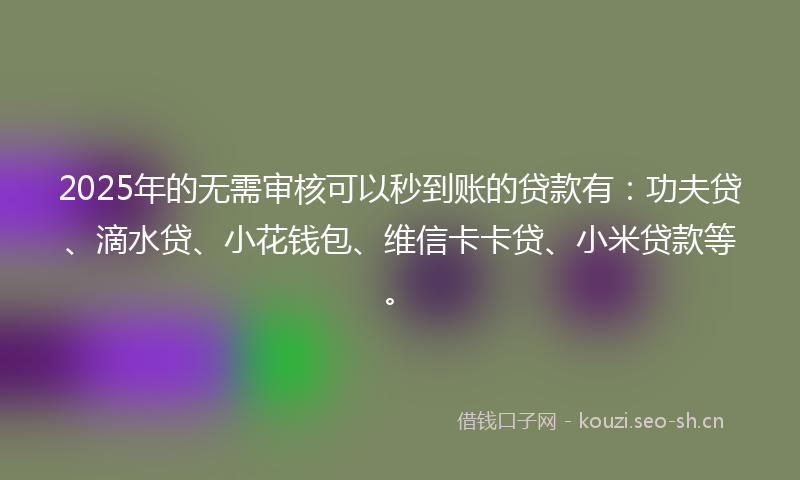 2025年的无需审核可以秒到账的贷款有：功夫贷、滴水贷、小花钱包、维信卡卡贷、小米贷款等。