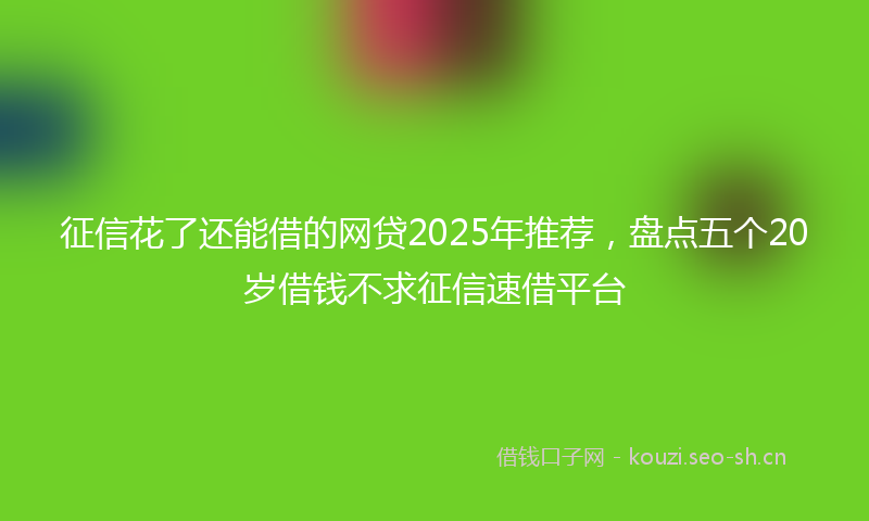 征信花了还能借的网贷2025年推荐，盘点五个20岁借钱不求征信速借平台